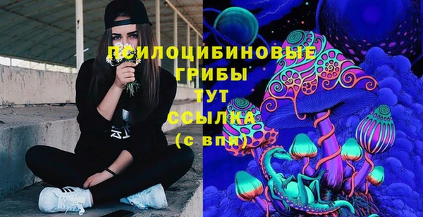 твердый Алзамай