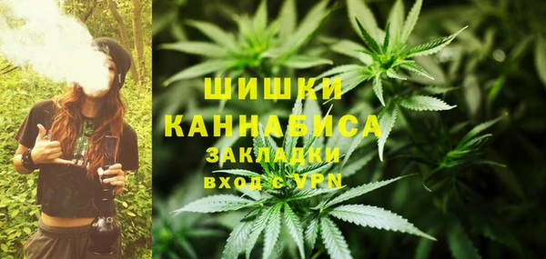 твердый Алзамай